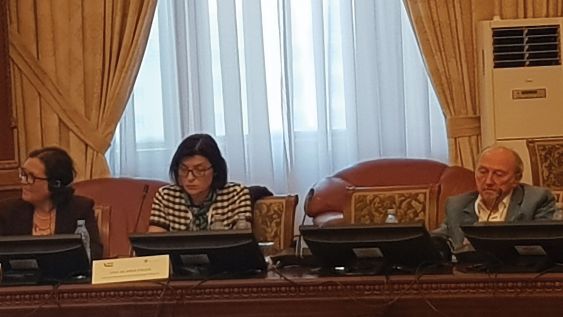 Anca Coliță este noul manager al Institutului Clinic Fundeni